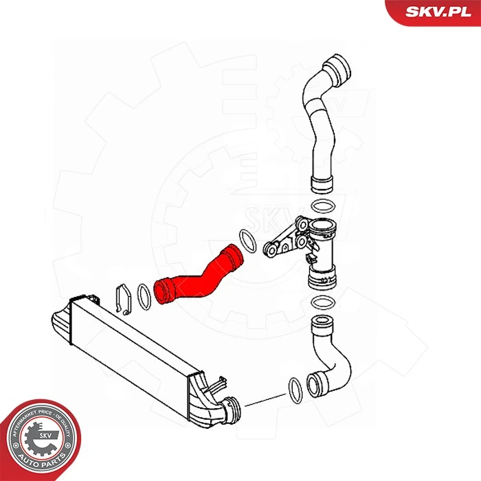 Charge Air Hose 43SKV460