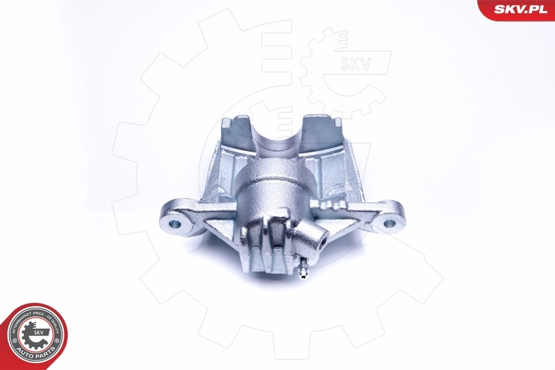 Brake Caliper 42SKV841