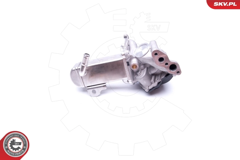 EGR Valve 14SKV157