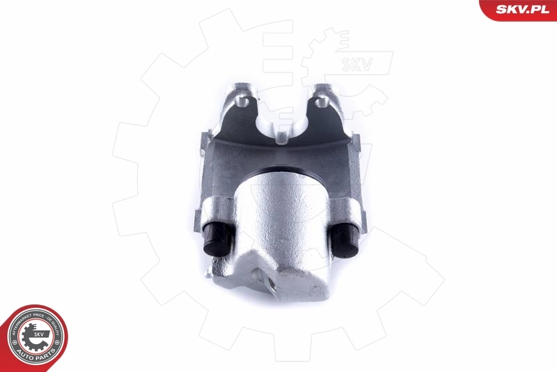 ESEN SKV 55SKV601 Brake Caliper