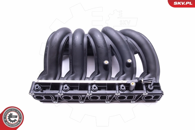 Intake Manifold Module 49SKV012