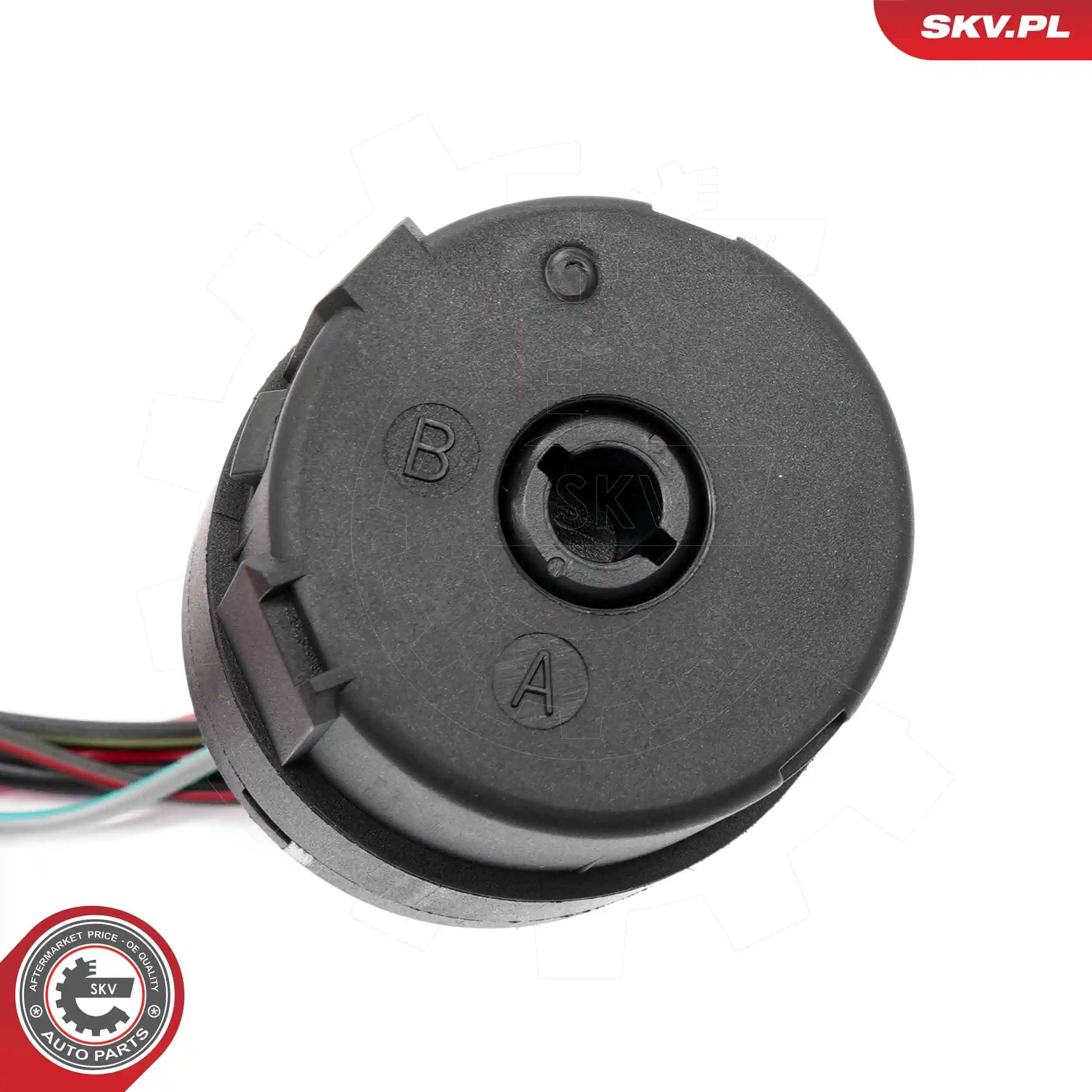 Ignition Switch 65SKV026