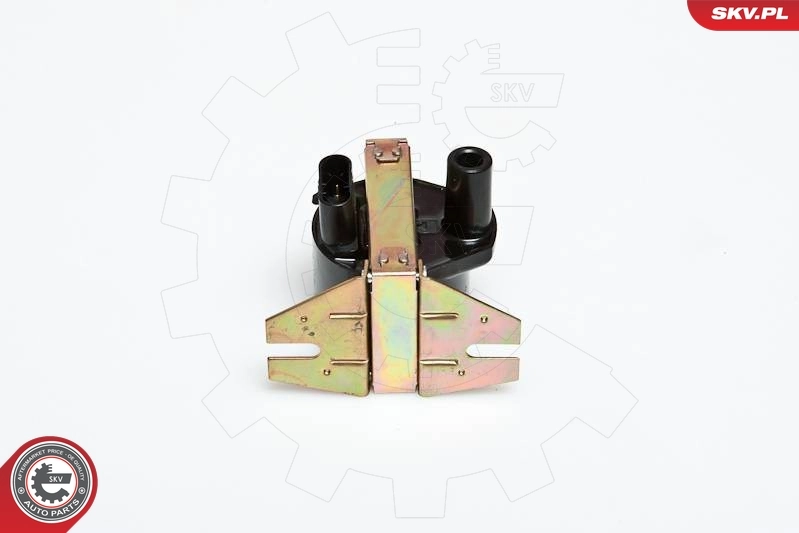 Ignition Coil 03SKV005