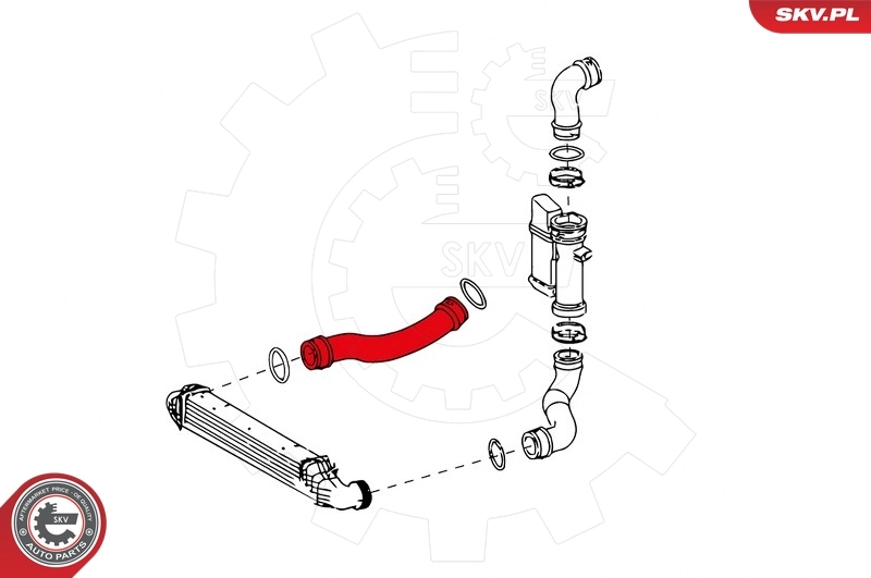 Charge Air Hose 24SKV631