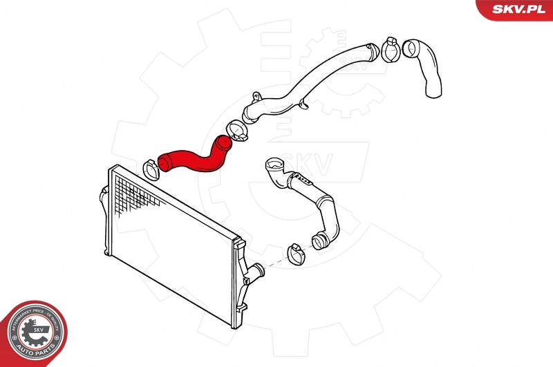 Charge Air Hose 43SKV053