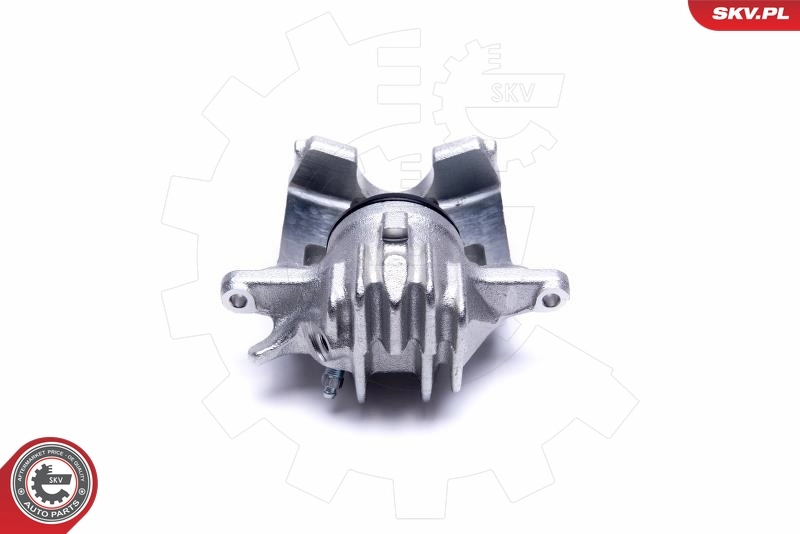 Brake Caliper 50SKV952