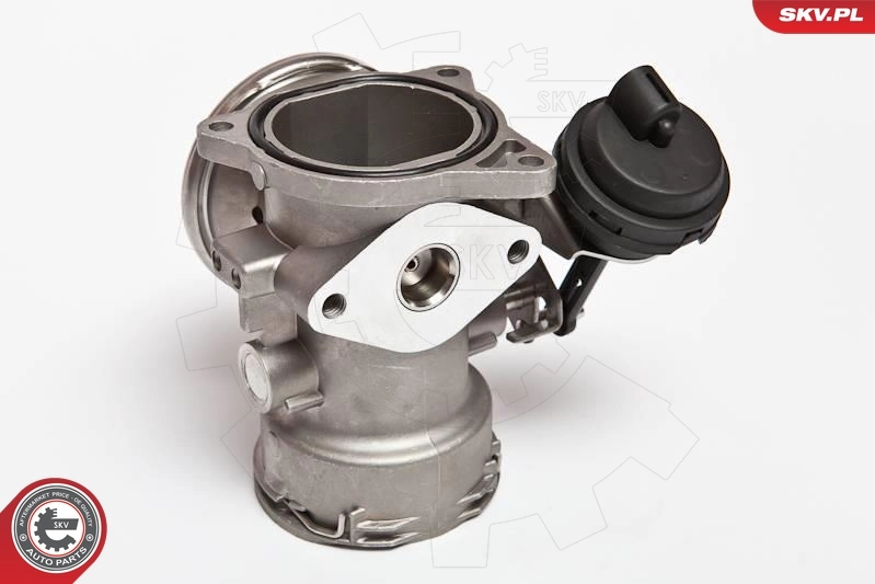 EGR Valve 14SKV024