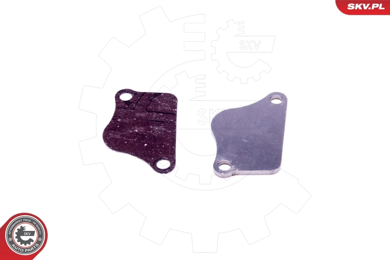 ESEN SKV 14SKV551 Repair Set, EGR valve