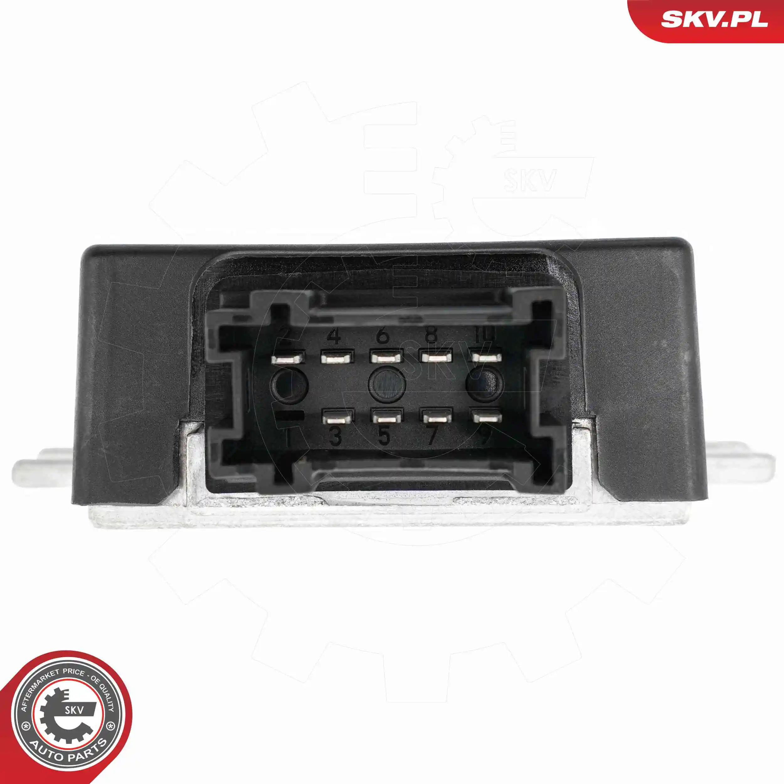 ESEN SKV 96SKV978 Control Unit, fuel pump