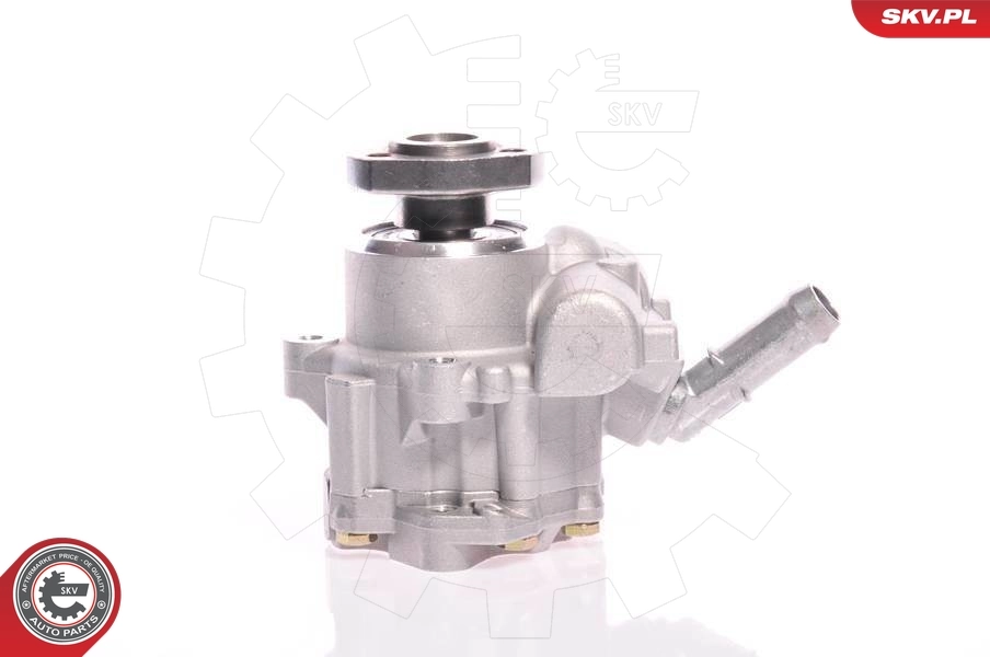 Hydraulic Pump, steering 10SKV165