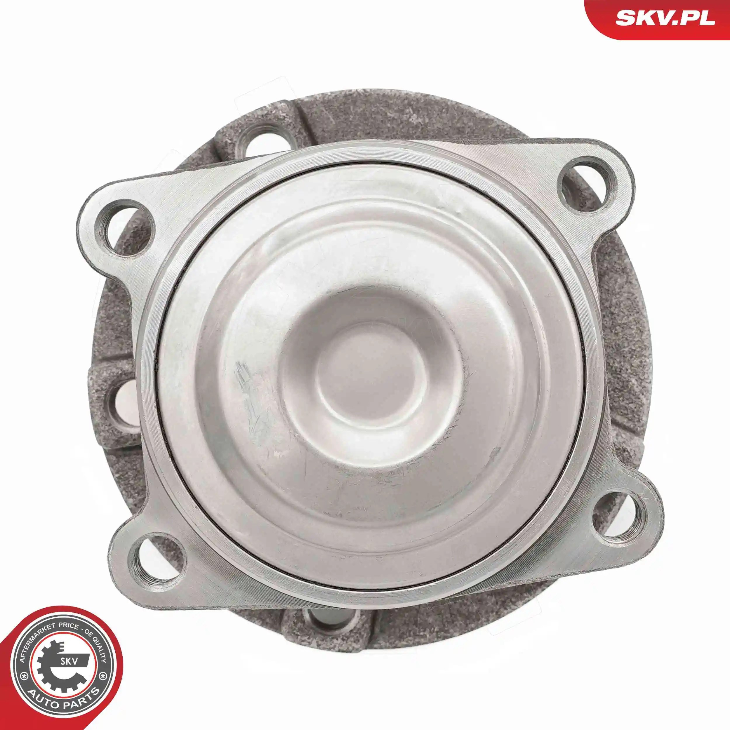 ESEN SKV 29SKV609 Wheel Bearing Kit