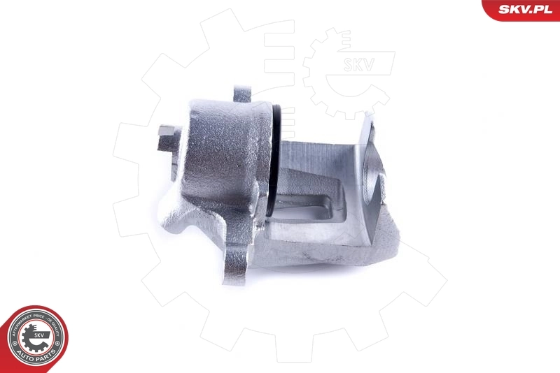Brake Caliper 50SKV882