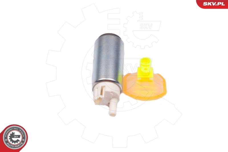 Fuel Pump 02SKV289