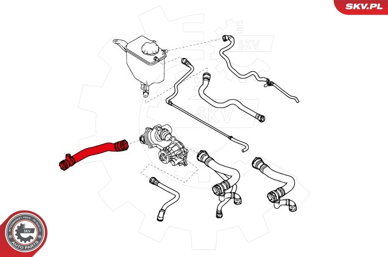 Radiator Hose 43SKV719