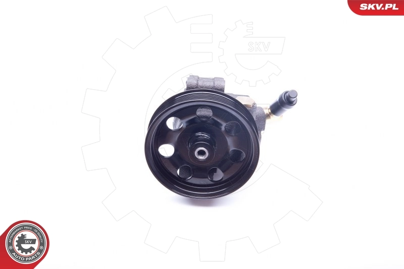 Hydraulic Pump, steering 10SKV260