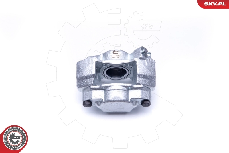 Brake Caliper 45SKV281