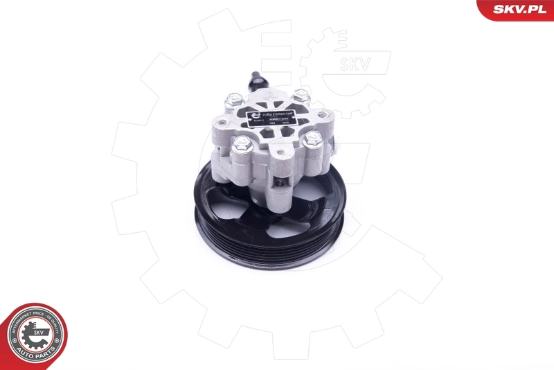 Hydraulic Pump, steering 10SKV265