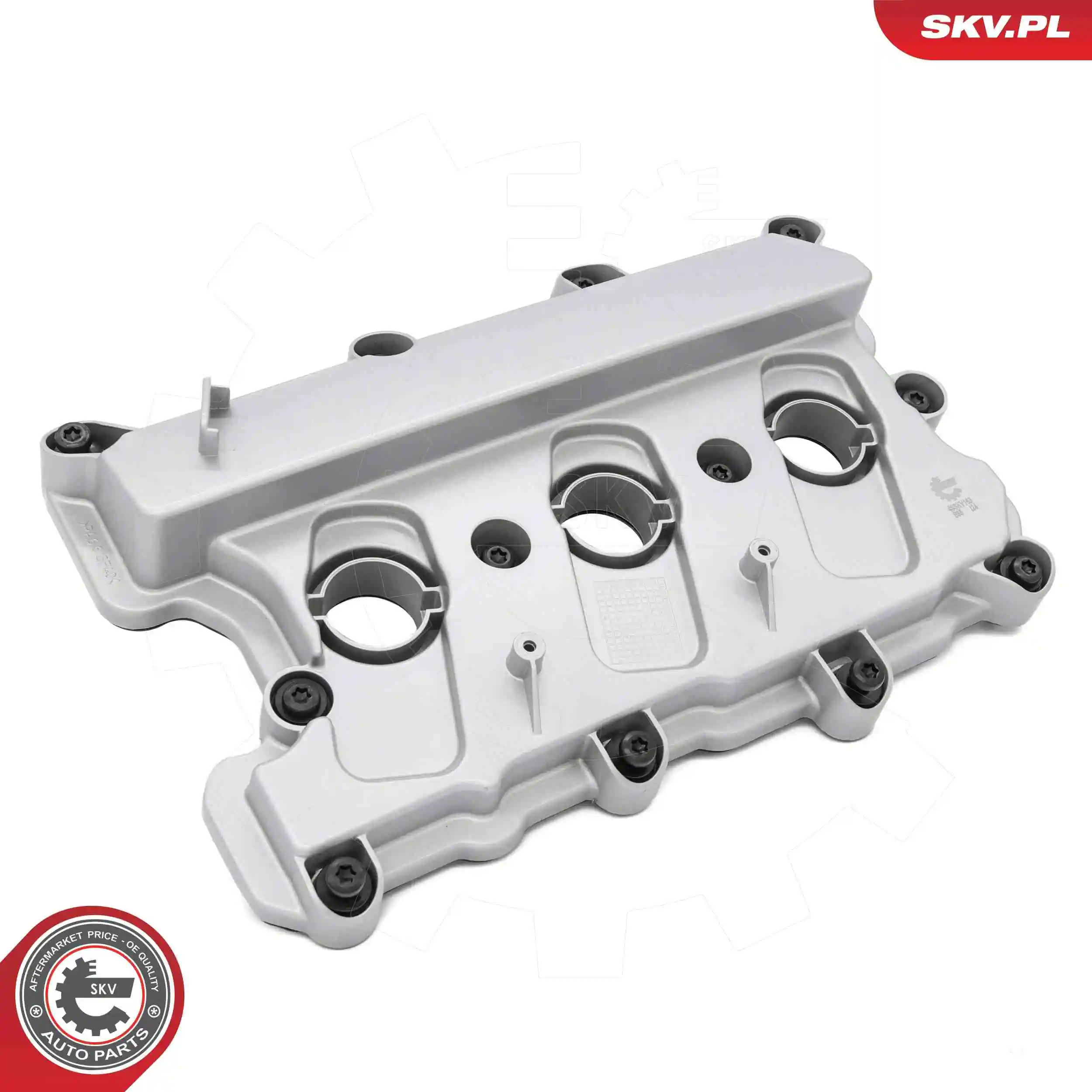 Cylinder Head Cover 48SKV163