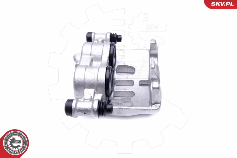 Brake Caliper 50SKV121