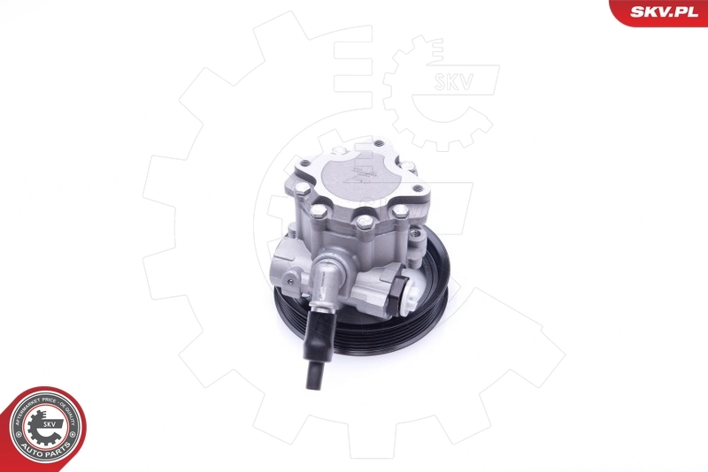 Hydraulic Pump, steering 10SKV266