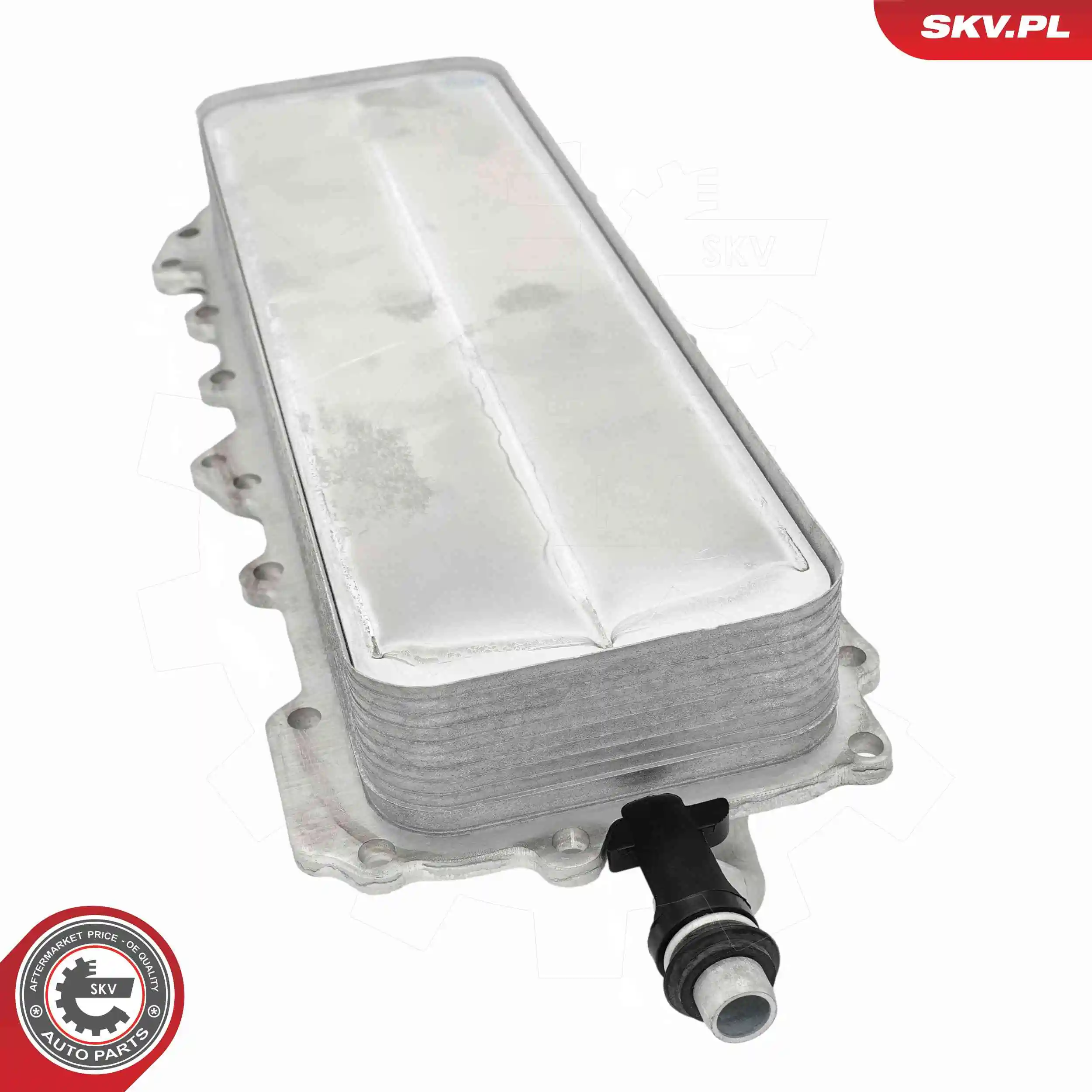 Oil Cooler, engine oil 31SKV362