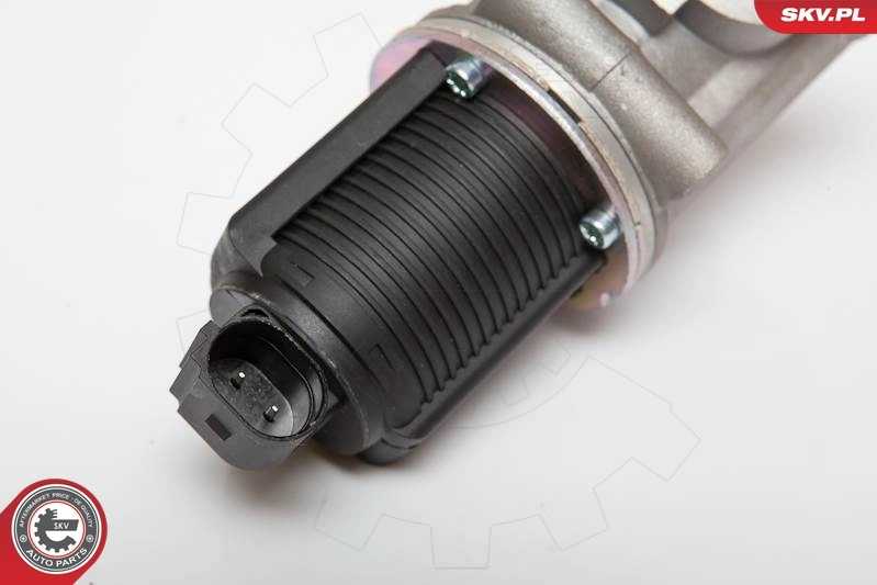 EGR Valve 14SKV055