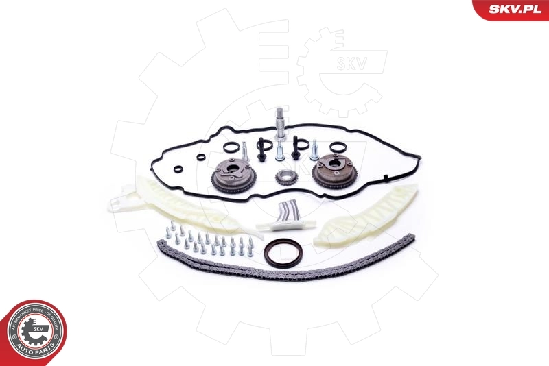 Timing Chain Kit 21SKV117