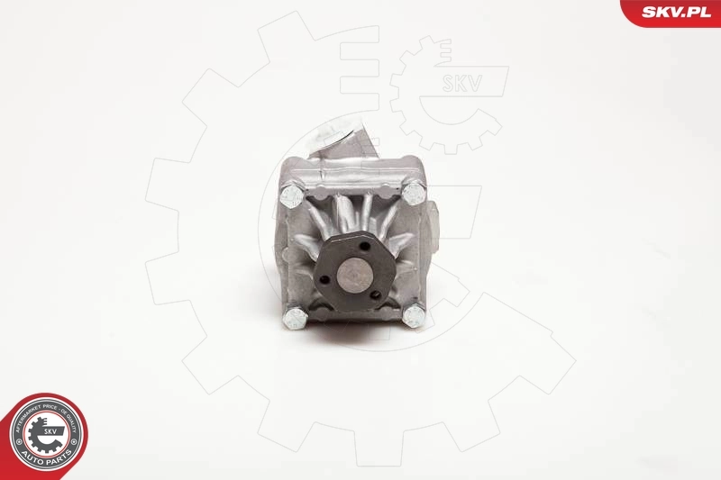 Hydraulic Pump, steering 10SKV017