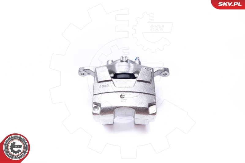 Brake Caliper 42SKV501