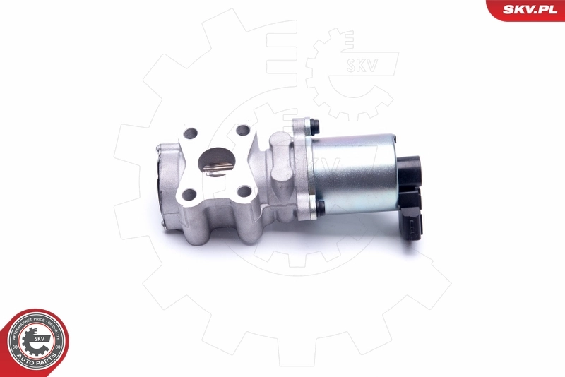 EGR Valve 14SKV200