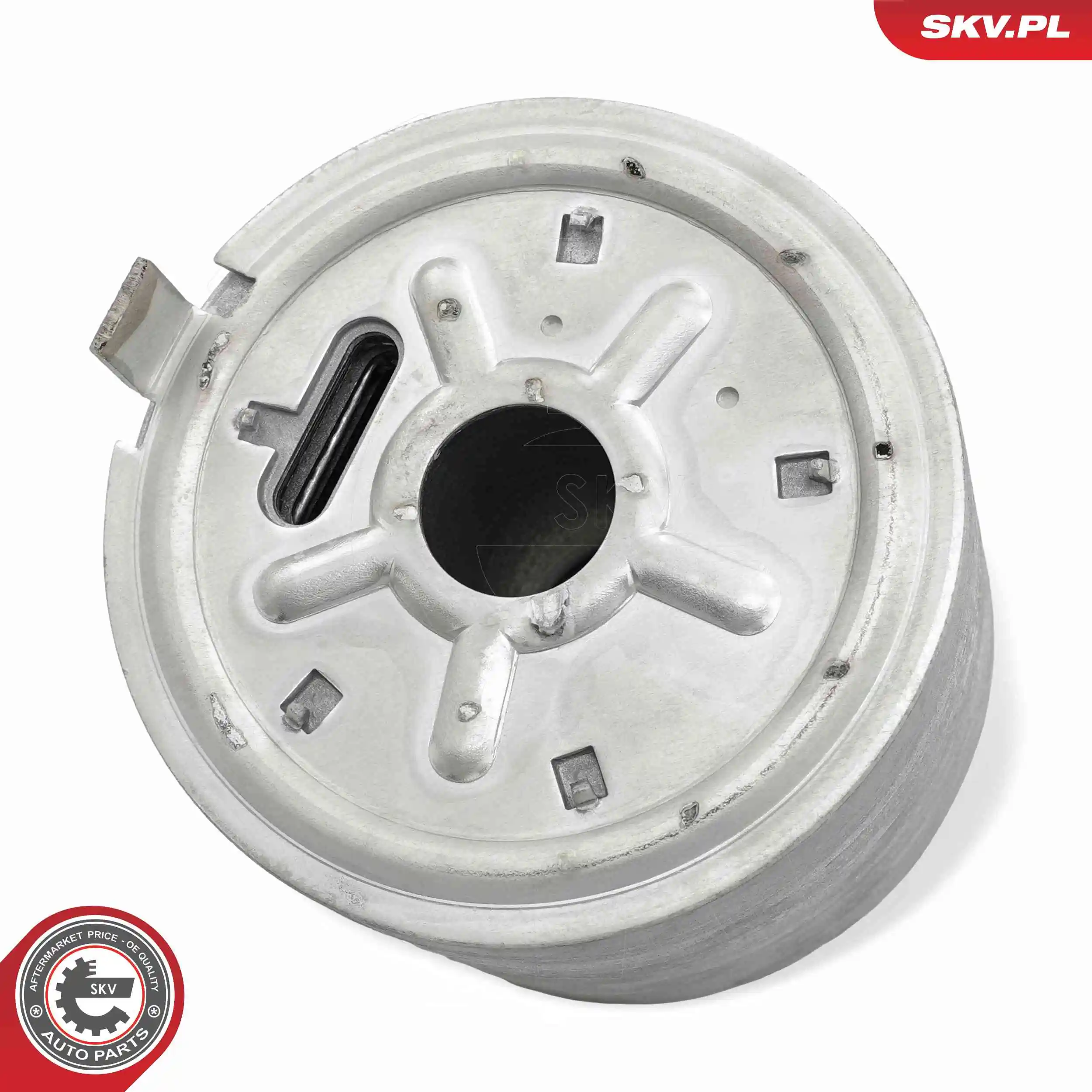 Oil Cooler, engine oil 31SKV316