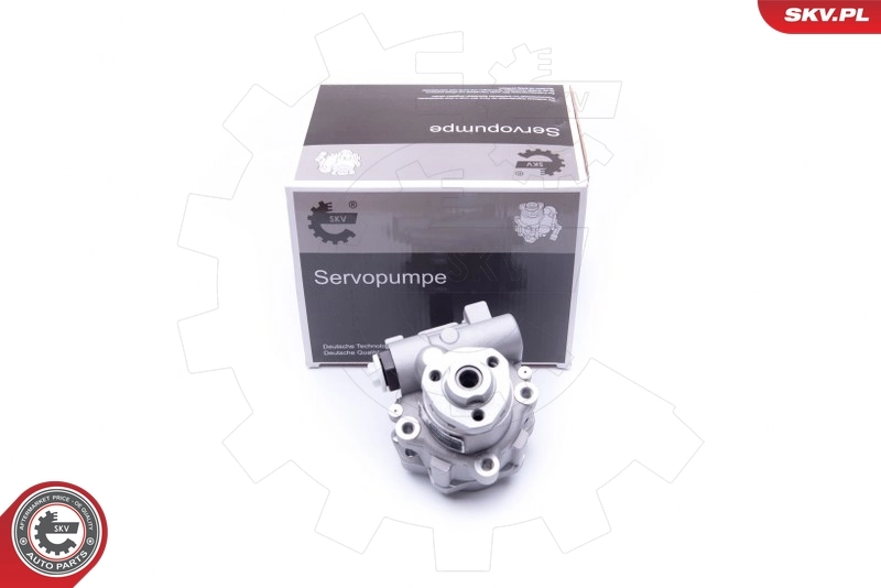 Hydraulic Pump, steering 10SKV256