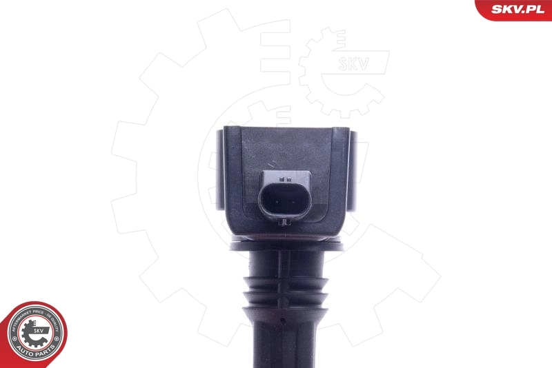 Ignition Coil 03SKV346