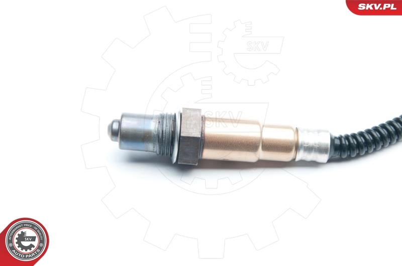 Oxygen Sensor 09SKV871