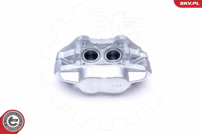 Brake Caliper 45SKV882