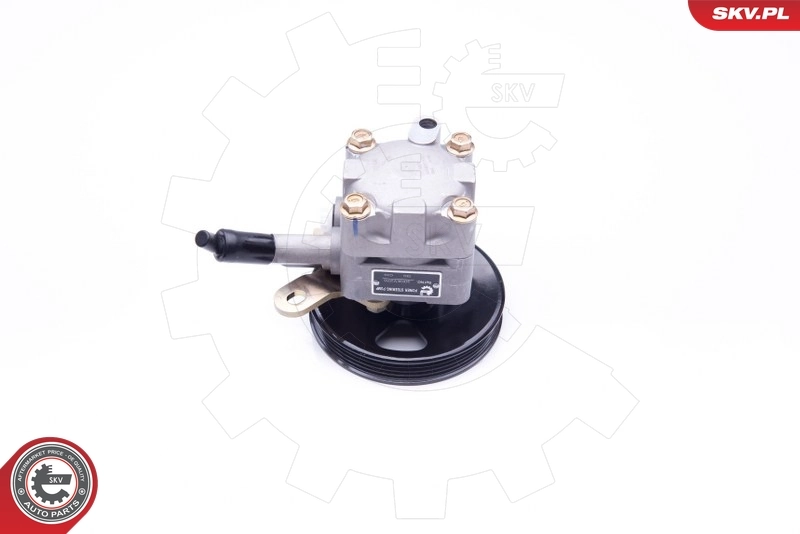 Hydraulic Pump, steering 10SKV276