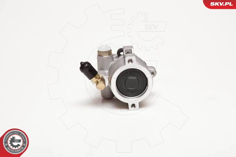 Hydraulic Pump, steering 10SKV055