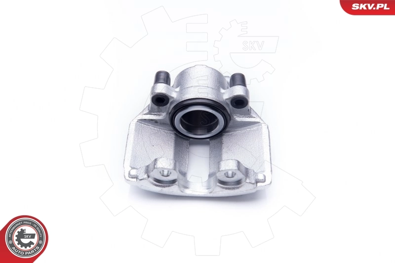 Brake Caliper 42SKV031