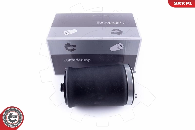 Air Spring, suspension 58SKV004