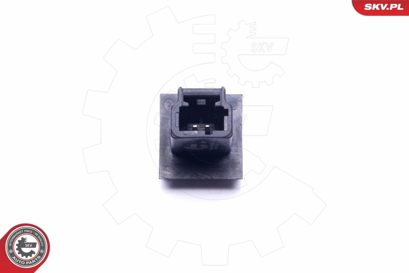 Switch, door lock 16SKV278