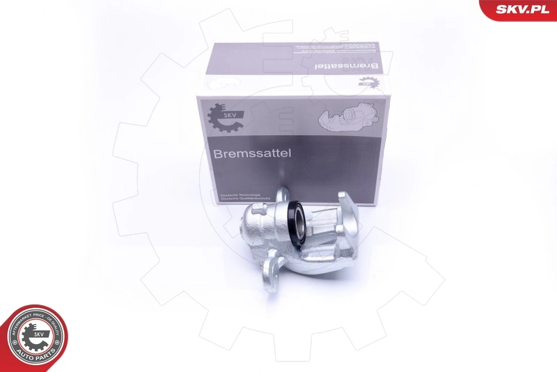 Brake Caliper 42SKV603