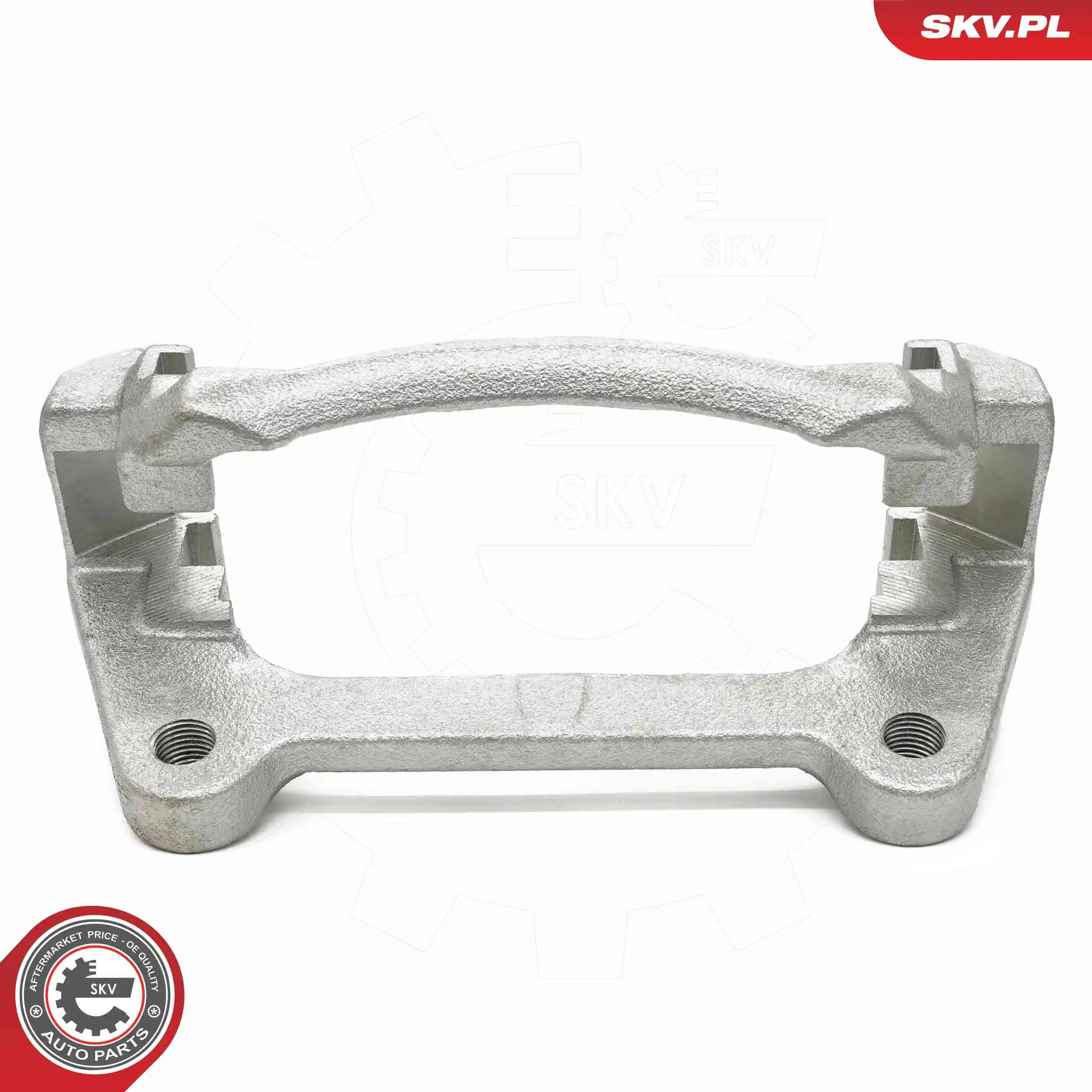 Bracket, brake caliper 74SKV022