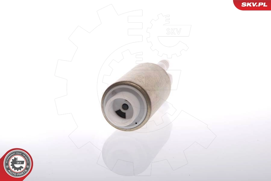 Fuel Pump 02SKV219