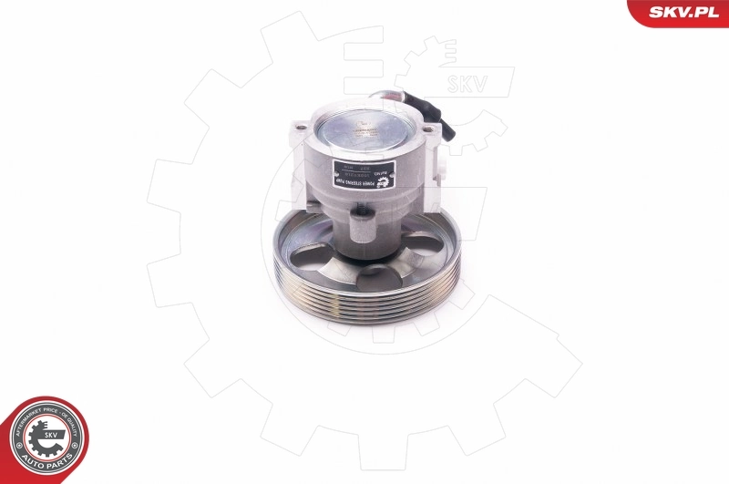 Hydraulic Pump, steering 10SKV218