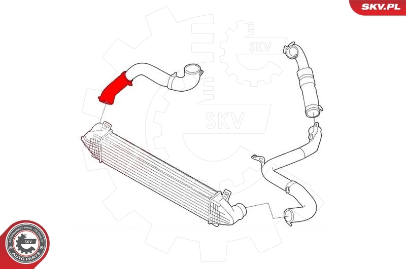 Charge Air Hose 43SKV243