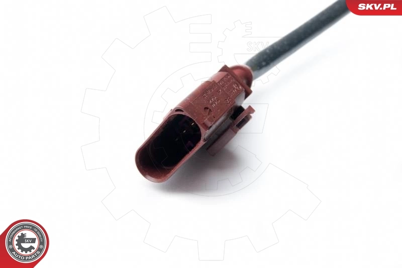 Oxygen Sensor 09SKV991