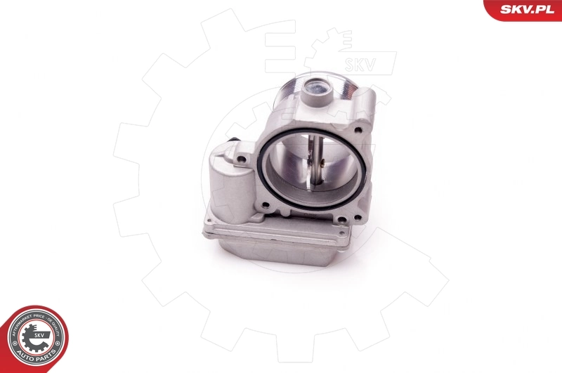Throttle Body 12SKV056