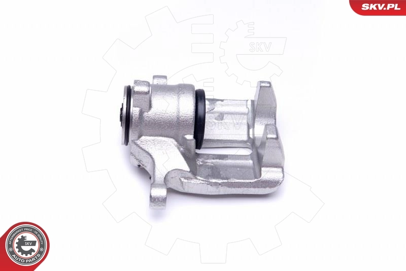 Brake Caliper 44SKV033