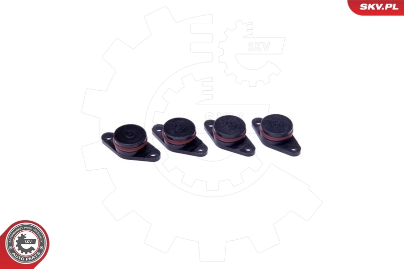 ESEN SKV 49SKV558 Repair Kit, intake manifold module
