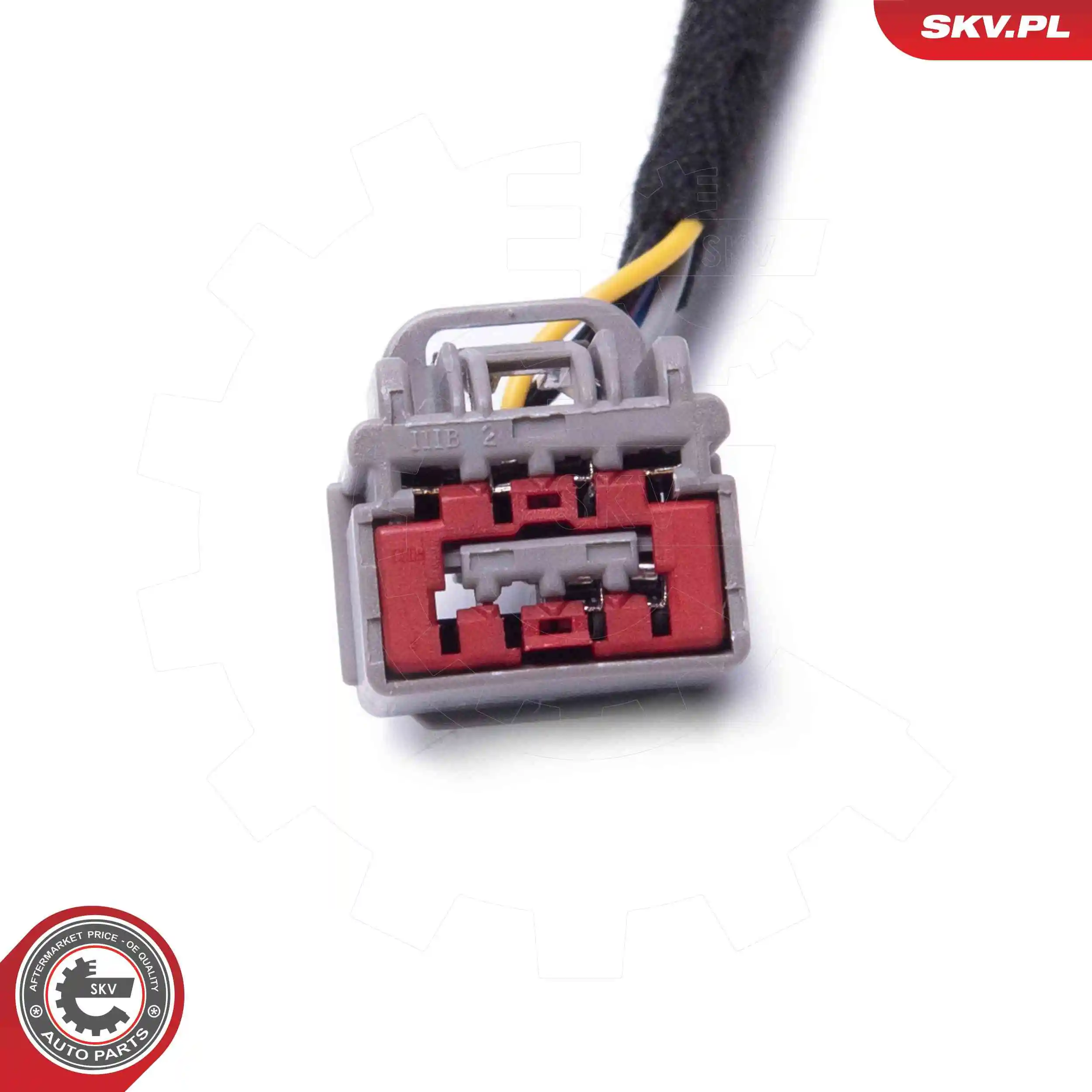 Electric Motor, tailgate 52SKV970